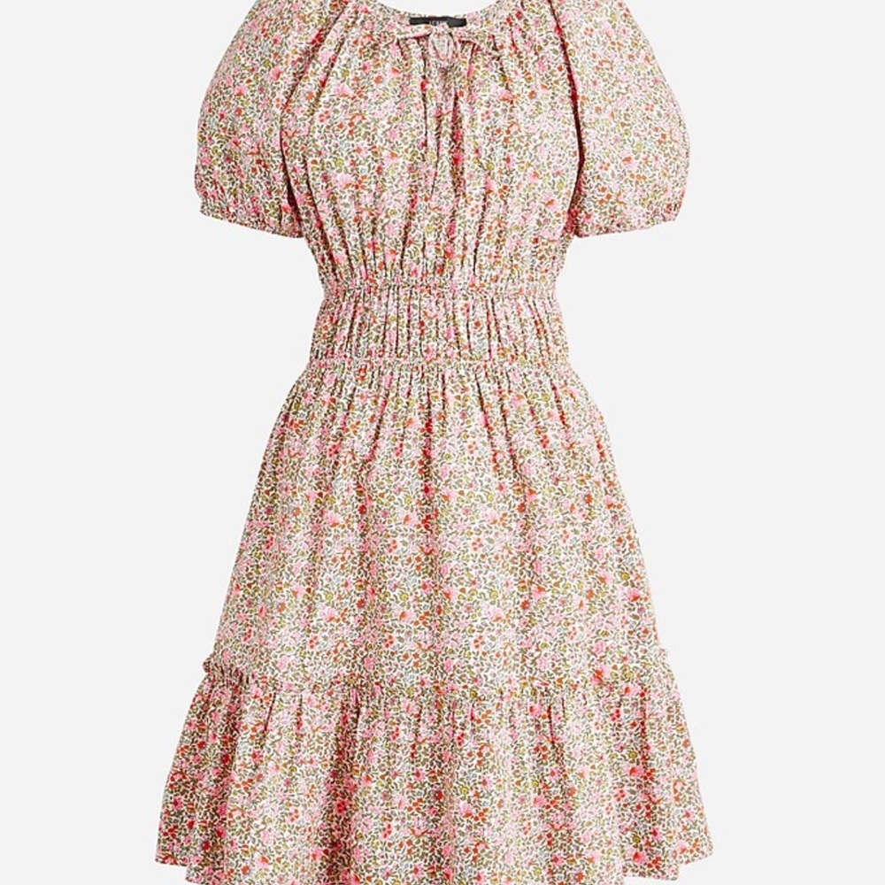 J. Crew Floral Print Puff Sleeve Cinch Waist Dress